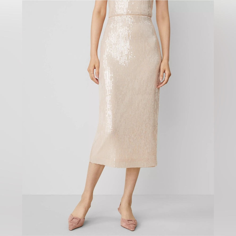 Ann Taylor Champagne Sequin Midi Pencil Skirt